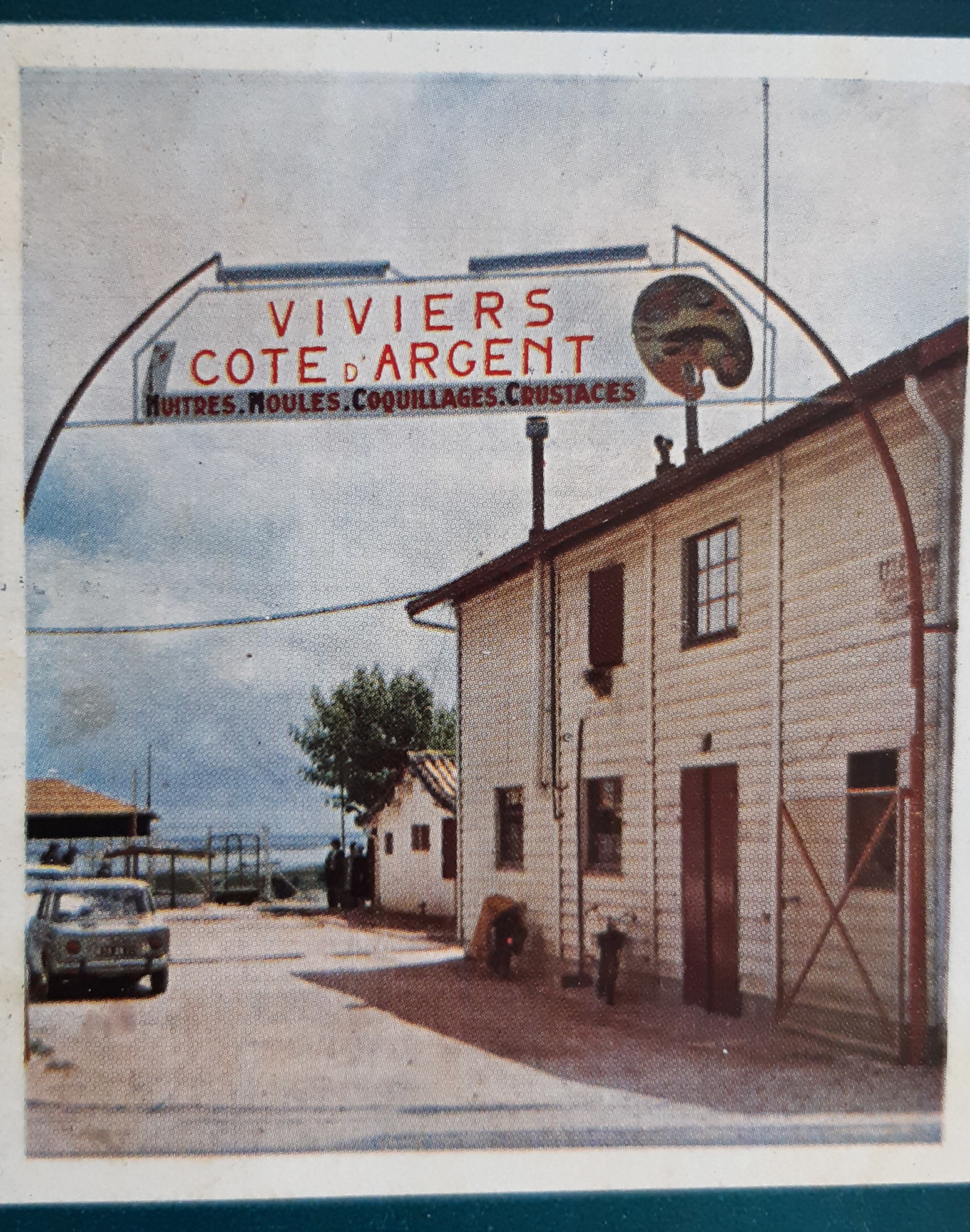 Les Viviers Côte d'Argent - Claouey