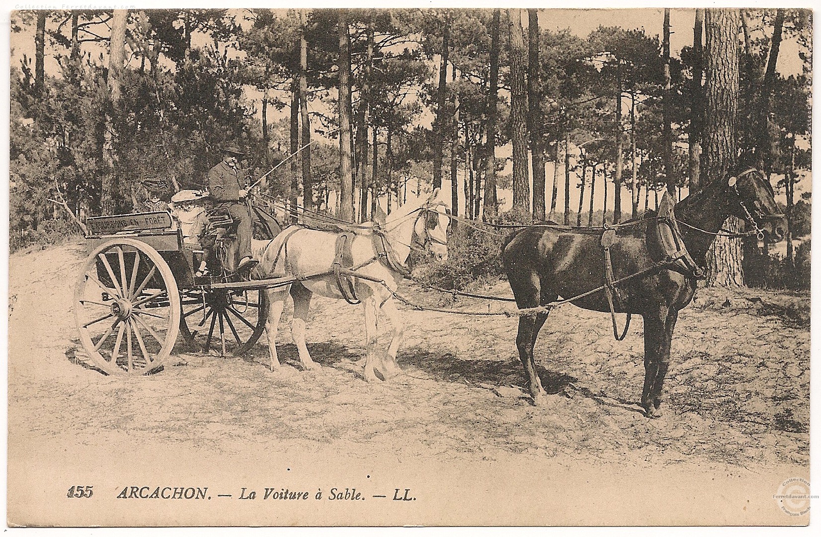 Lège Cap Ferret