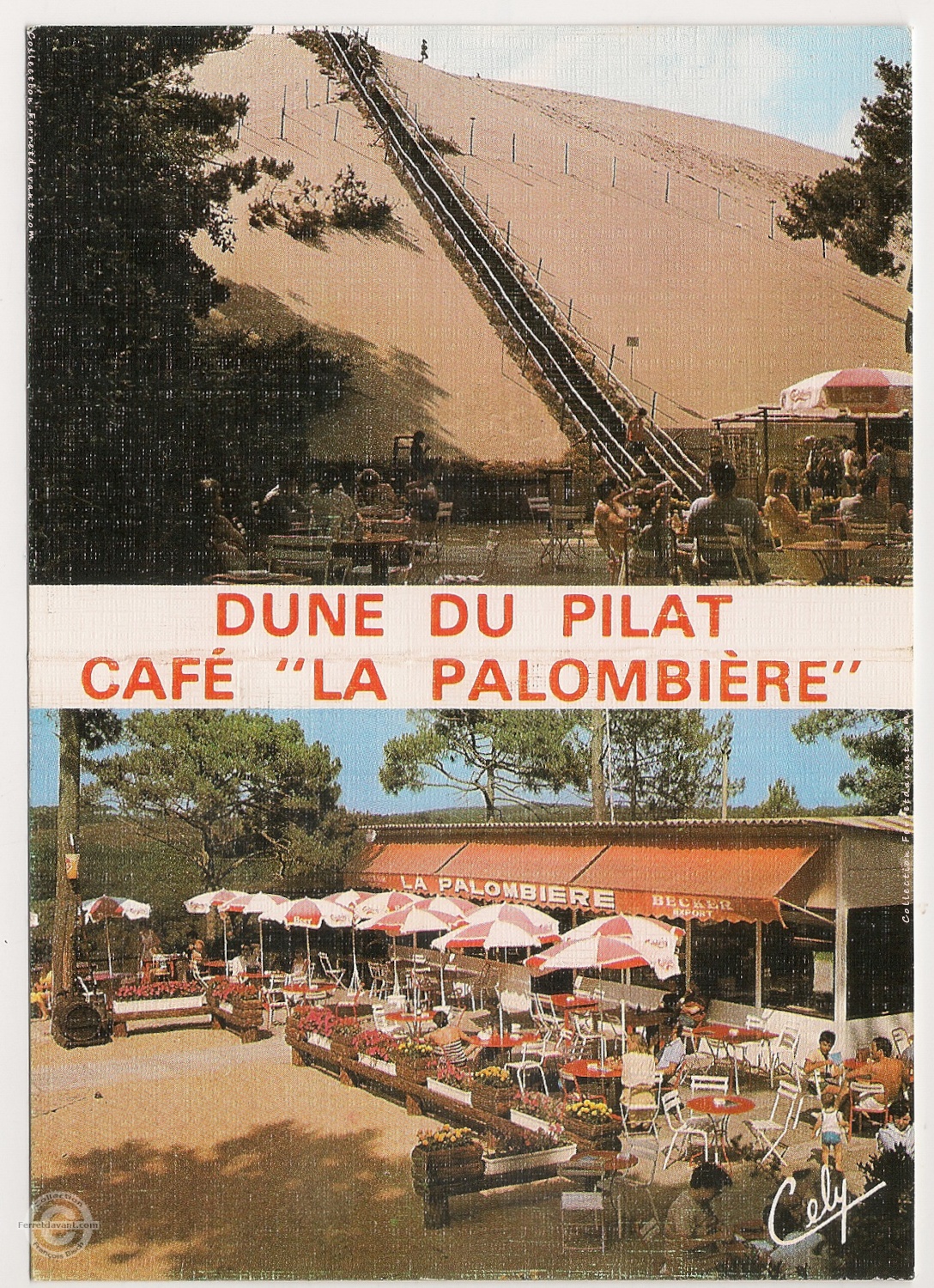 Lège Cap Ferret