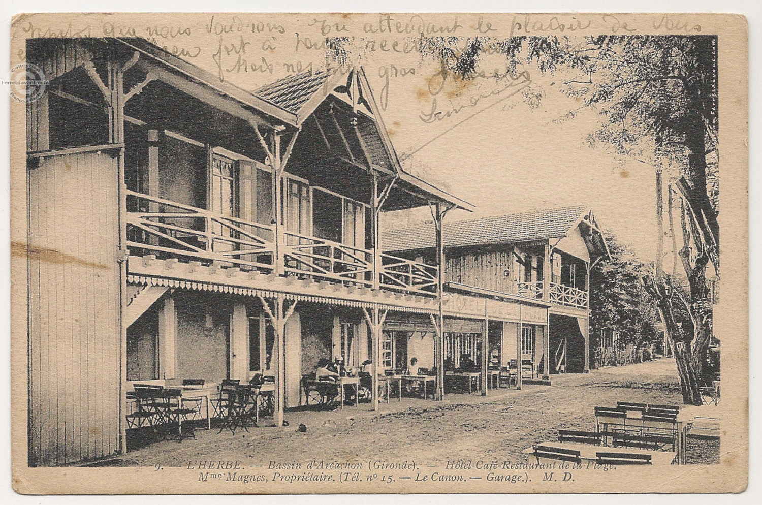 Lège Cap Ferret - l-herbe