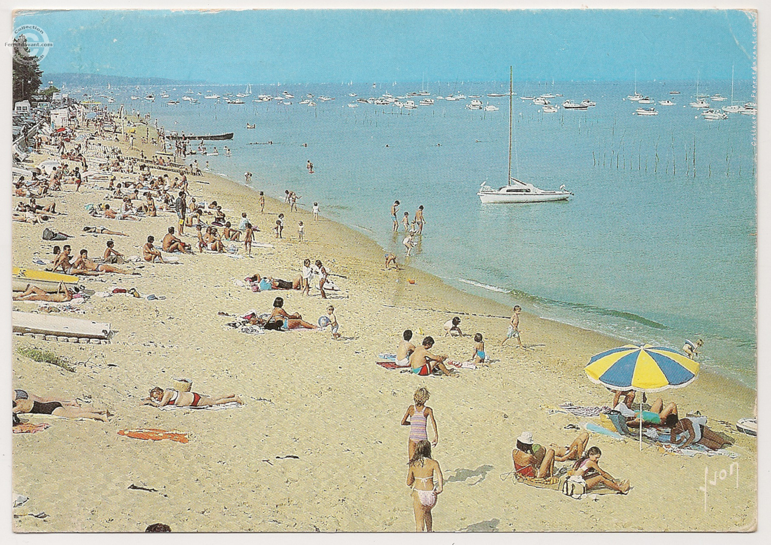Lège Cap Ferret - l-herbe